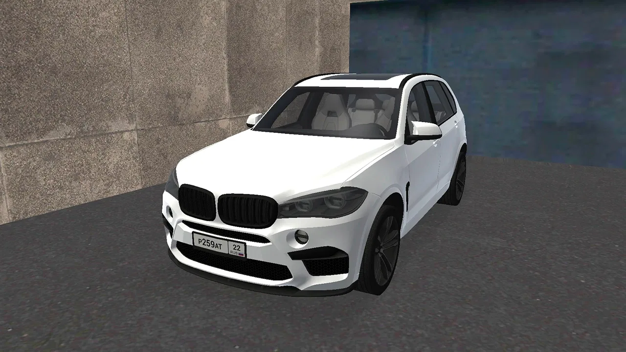 AUS X5M F85